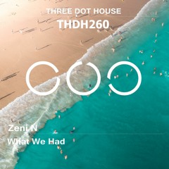 Zeni N - What We Had