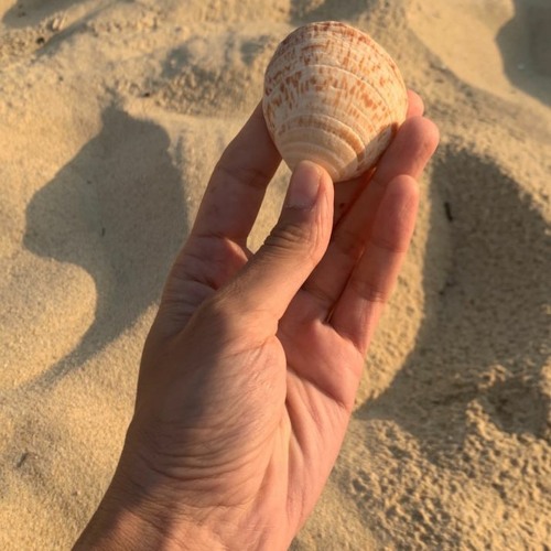 Lil' podcast - Le matin sous les rayons du soleil