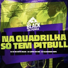 Mc Black da Penha - Na Quadrilha Só Tem Pitbull