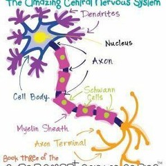 Book: Neurology: The Amazing Central Nervous System by April Chloe Terrazas