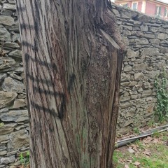 Dance of the Fire Flies, piano study 1.wav