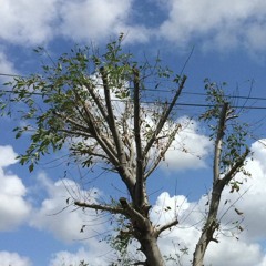 Bésame la boca - Zulema Rodríguez