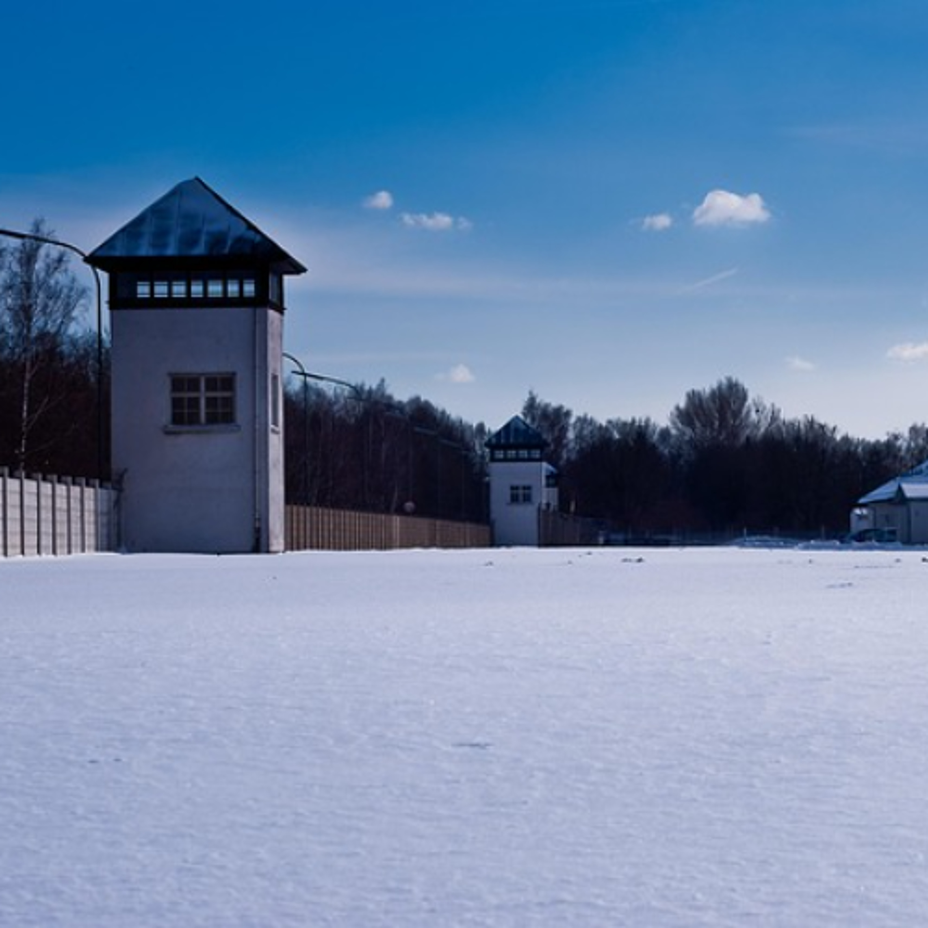 The Left VS. 'the Jews' - A Battle As Old As the Bible - The Tamar Yonah Show