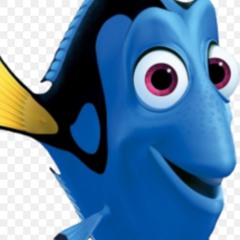 Dory Prod. terr0r