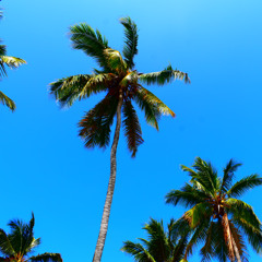 House Set (04-26-2025)