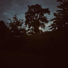 Hidden Gems