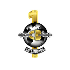 CB LINKAGE 3STYLE WULL AH VIBEZ DANCEHALL MIX 2025 (no headphone)