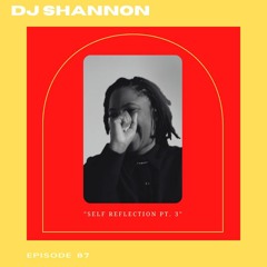 Self Reflection Pt. 3 With DJ Shannon