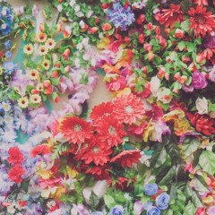 Dear (prod. Su Hyuk)