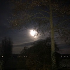 Swoon Moon.wav