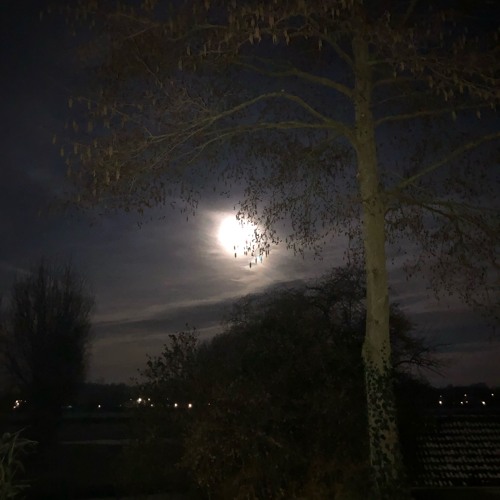 Swoon Moon.wav