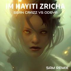 Sean Crazz vs. Odeya - Im Hayiti Zricha (5AM Remix)