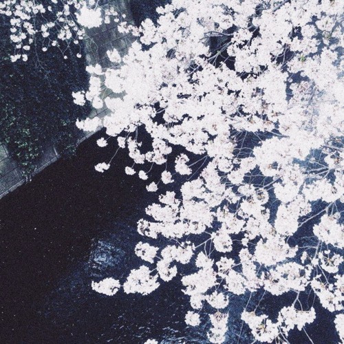 And I'm Still In Your Arms