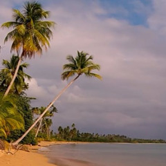epictrip