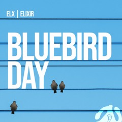 05 - Bluebird Day