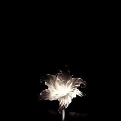I need you, Sincerely. (prod. Muzcean)