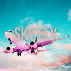 Elektrosadman - Sky Fly