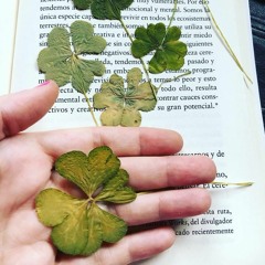 Meditación guiada (Cinco minutos para tu bienestar)