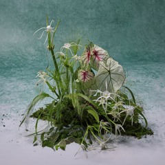 Vy Vy - Bồng Bềnh Bồng Bềnh