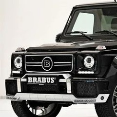 Sentino Brabus bez łaków