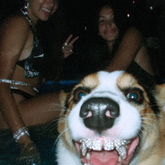 swimteam!