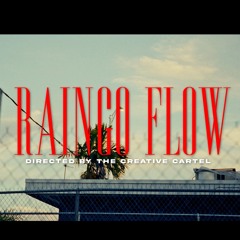 RainGo Flow