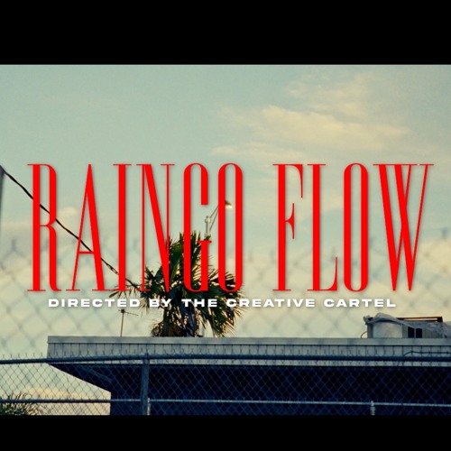 RainGo Flow
