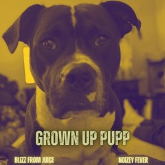 Blizz From Juice - Grown Up Pupp (Vulgar Bonus Track) Produced by Noizey Fever