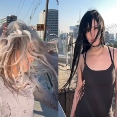 FAKEMINK - EASTER PINK STADYYY REMIX/FLIP