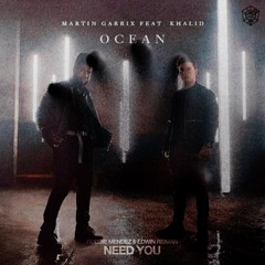 Robbie Mendez & Edwin Reiman - Need You w Martin Garrix - Ocean (Feat. Khalid)