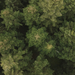 Hidden things (Original Mix)