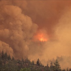 Zombie Wildfires Can Rage On For Months