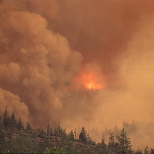Zombie Wildfires Can Rage On For Months