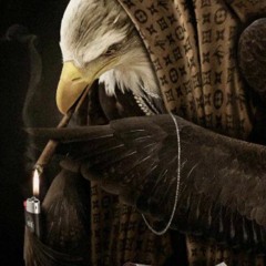 PistolWhoppinFartGrenadeSmasher666CumDragon - Sniping The Ass Of An Airborn Holocaust Believer