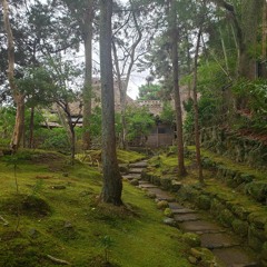 Walking In The Highlands