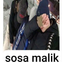 sosа malik on the bit