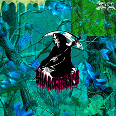 PROPANEPRAYER$ (Prod. THRASHPLAYA)