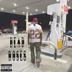 dead roses
