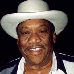 Beale Street Caravan - Members Only: A Tribute to Bobby Blue Bland