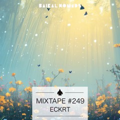 Mixtape #249 by ECKRT