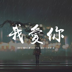 旺仔小喬 - 我愛你 (原唱/盧廣仲)「曾經在我眼前 卻又消失不見，這是今天的第六遍」【動態歌詞/pīn yīn gē cí】