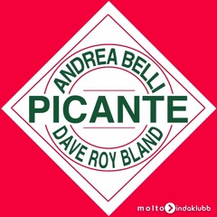 [IDK027] Picante (Stefano Amalfi & Robbie Groove Remix Edit)