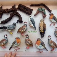 Radio La Isla: Medio Ambiente - 25 Nov