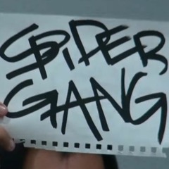 SPIDERGANG - IN THE CLUB (prod. Wendigo)