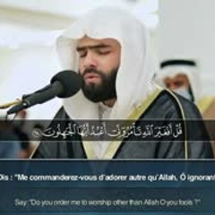 Sourate Az Zumar (52-75) - Peshawa Qadr Al Kurdi سورة الزمر بيشوا قادر الكردي