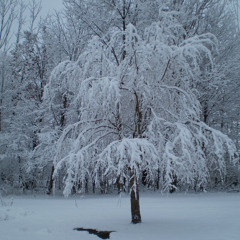 DJ RITZ Presents: The Chris Dow(er) Power Hour Ep 249