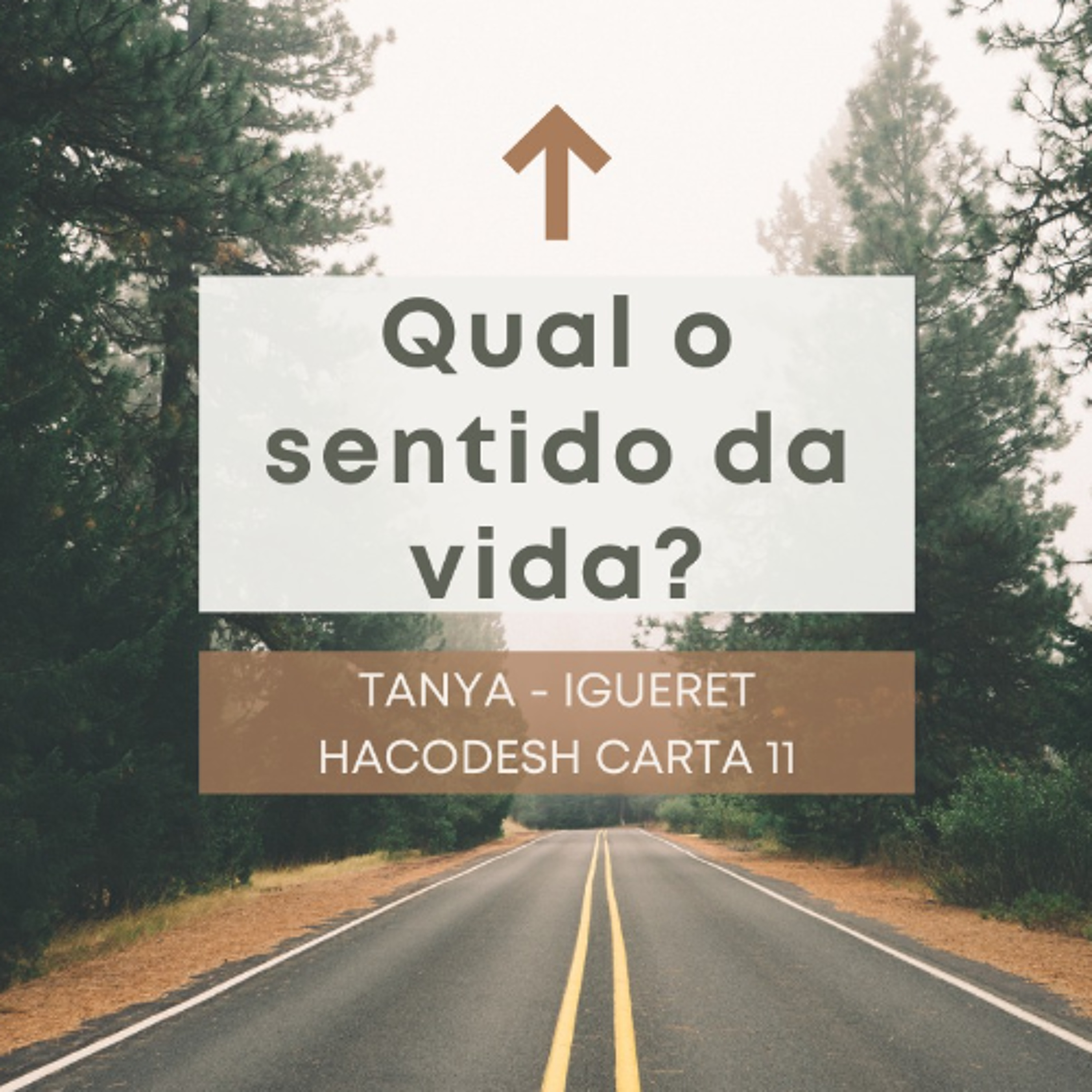 QUAL O SENTIDO DA VIDA? Tanya - Igueret Hacodesh carta 11