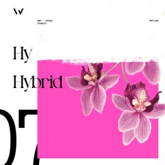 Hybrid (Original Mix)