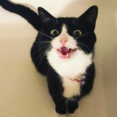 2025 year-end bangers