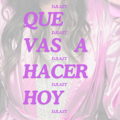 Q U E V A S A H A C E R H O Y ?